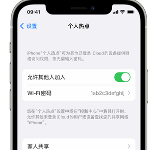 宝清apple服务站点分享iPhone上个人热点丢失了怎么办 