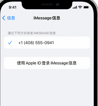 宝清apple维修iPhone上无法正常发送iMessage信息 