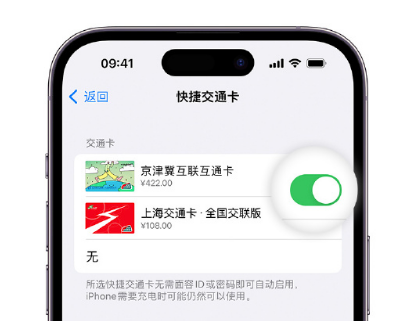 宝清apple维修点分享iPhone上更换Apple Pay快捷交通卡手绘卡面 