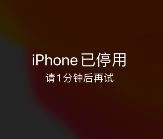 宝清苹果手机维修分享:iPhone 显示“不可用”或“已停用”怎么办？还能保留数据吗？ 