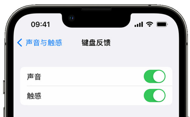 宝清苹果手机维修分享iPhone 14触感键盘使用方法 