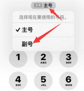 宝清苹果14维修店分享iPhone 14 Pro Max使用副卡打电话的方法 