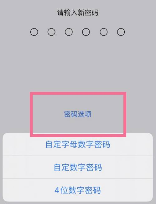 宝清苹果14维修分享iPhone 14plus设置密码的方法 