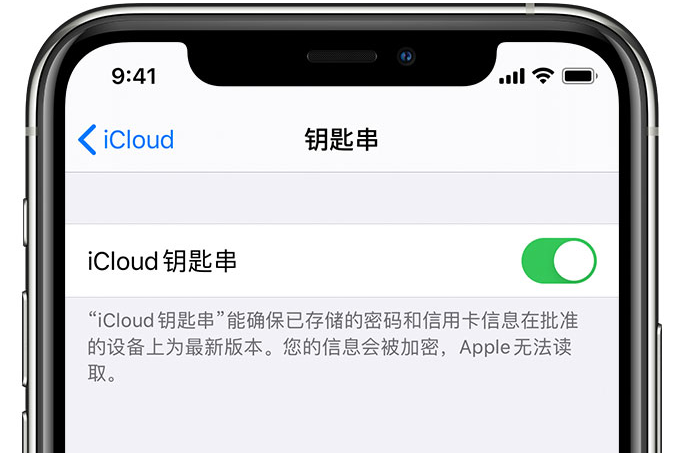 宝清苹果手机维修分享在 iPhone 上开启 iCloud 钥匙串之后会储存哪些信息 